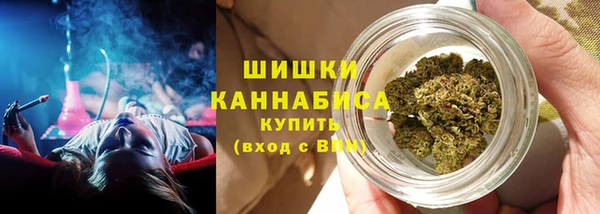 apvp Володарск