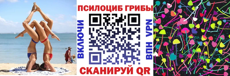 Псилоцибиновые грибы ЛСД  Купить закладки  Дятьково 